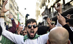 A Alger, le 24 janvier 2020, lors du 49e vendredi de mobilisation contre le régime. (RYAD KRAMDI / AFP)